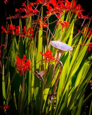 Shane Harvey gallery photo 93